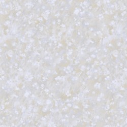 Обои Bernardo Bartalucci Carlotta 84218-2