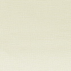 Обои FN26002 Parati&amp;Parati Uno 1.06x10