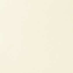 Обои FN26024 Parati&amp;Parati Uno 1.06x10