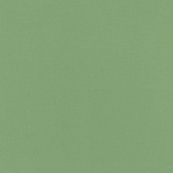 Обои Rasch Natural Colors 537918